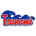Tsunami Baseball Academy
