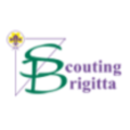 Vereniging Scouting Brigitta