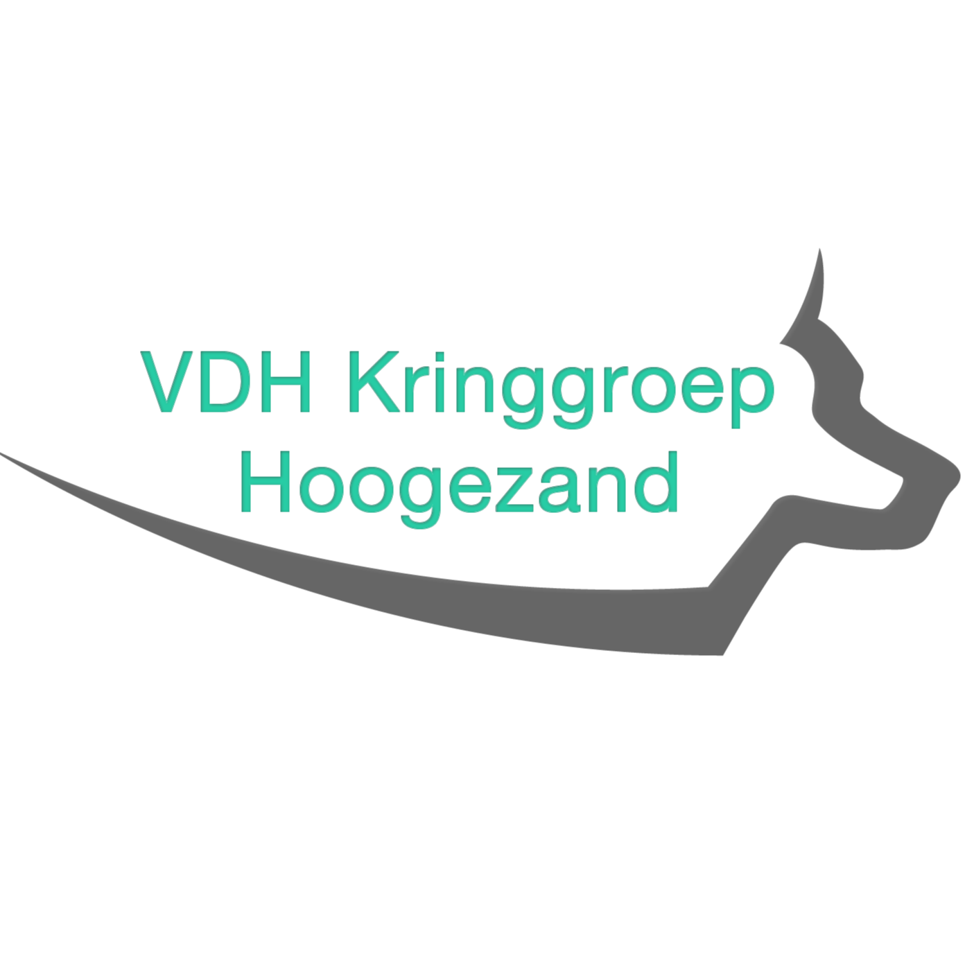 V.D.H. Kringgroep Hoogezand