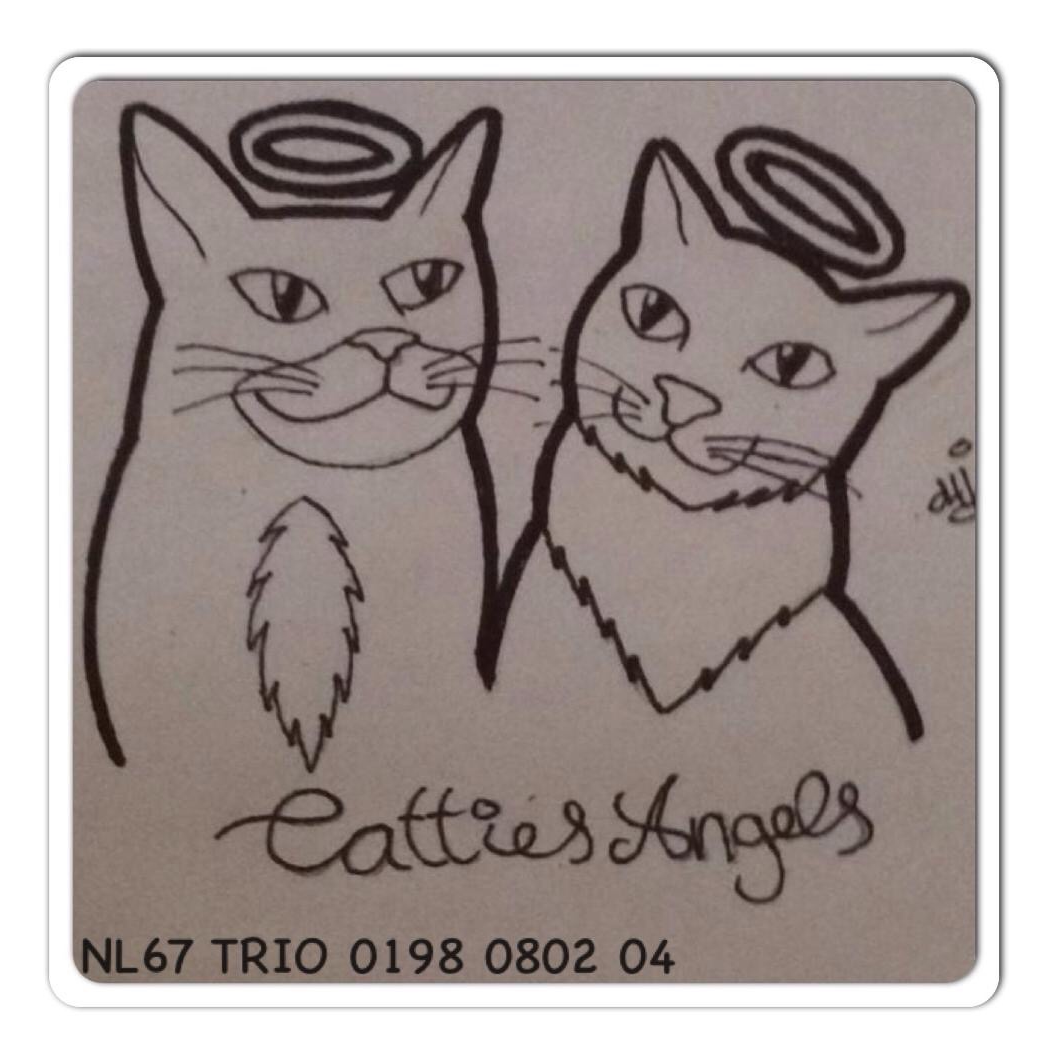 Stichting Catties Angels 