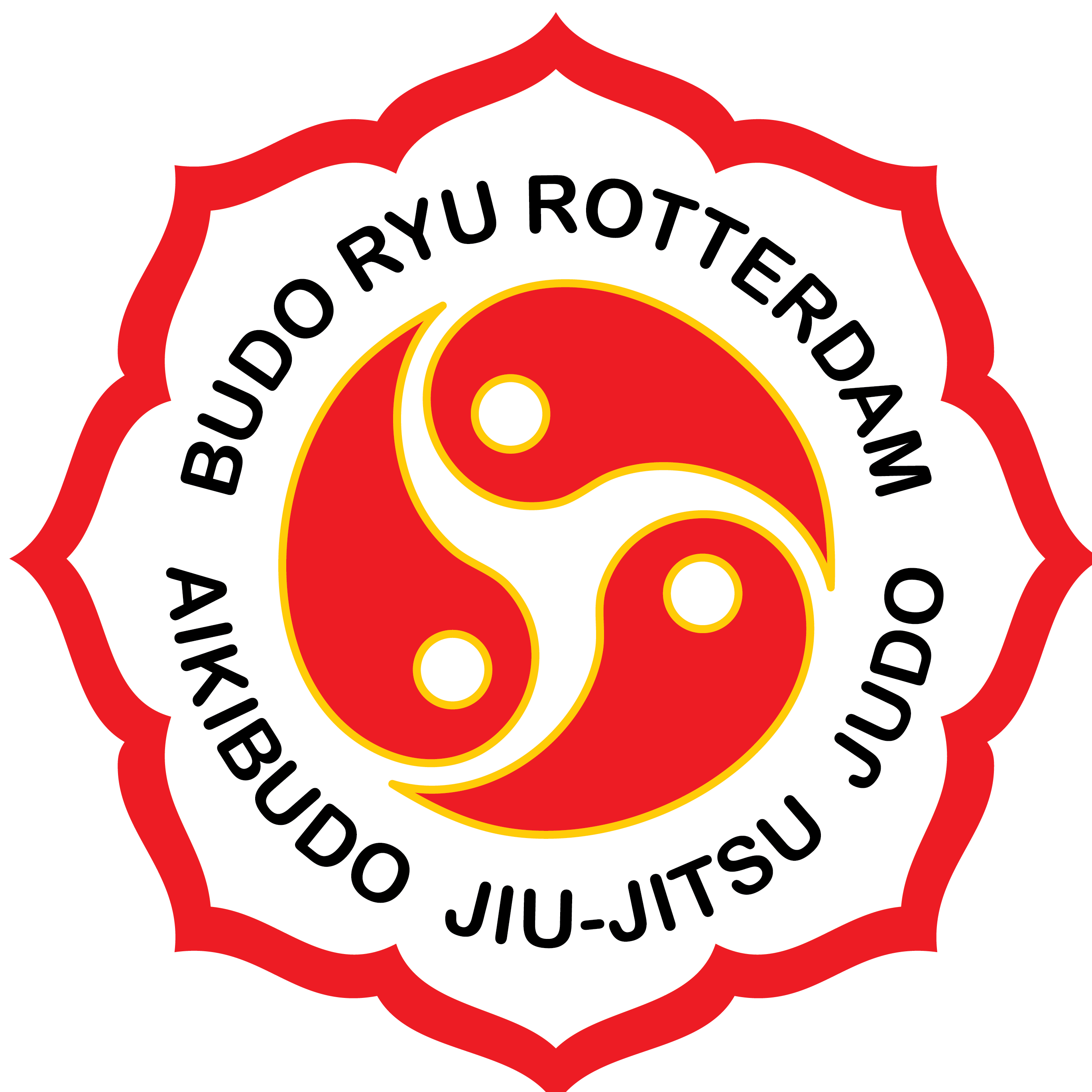 Budo Ryu Rotterdam