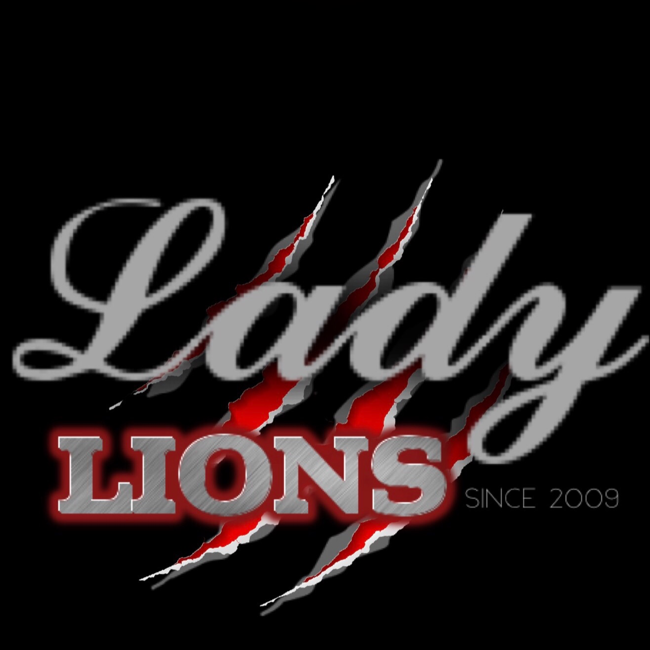 Dutch Lions Cheerleading 