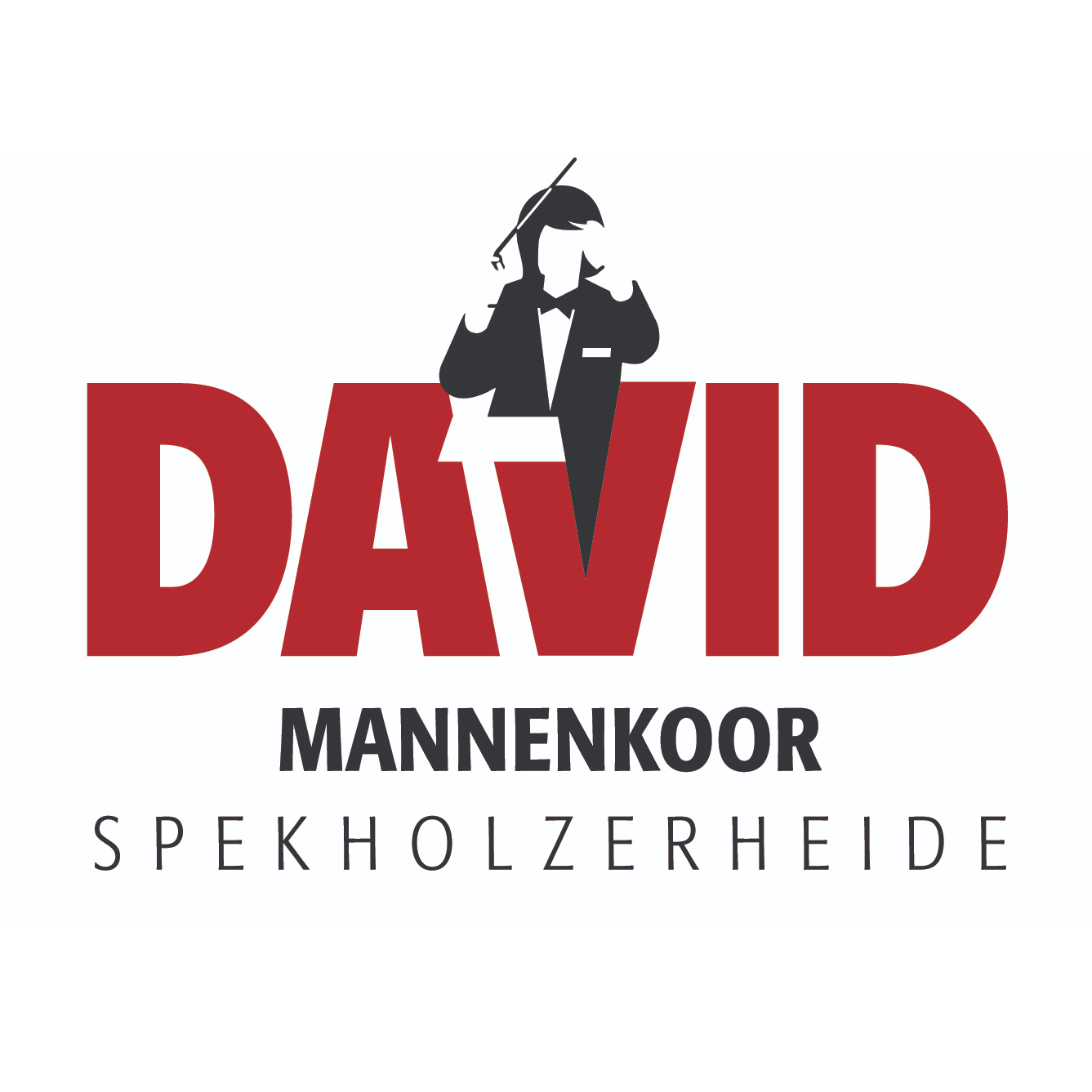 Mannenkoor David Spekholzerheide