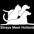 Stichting Strays Meet Holland
