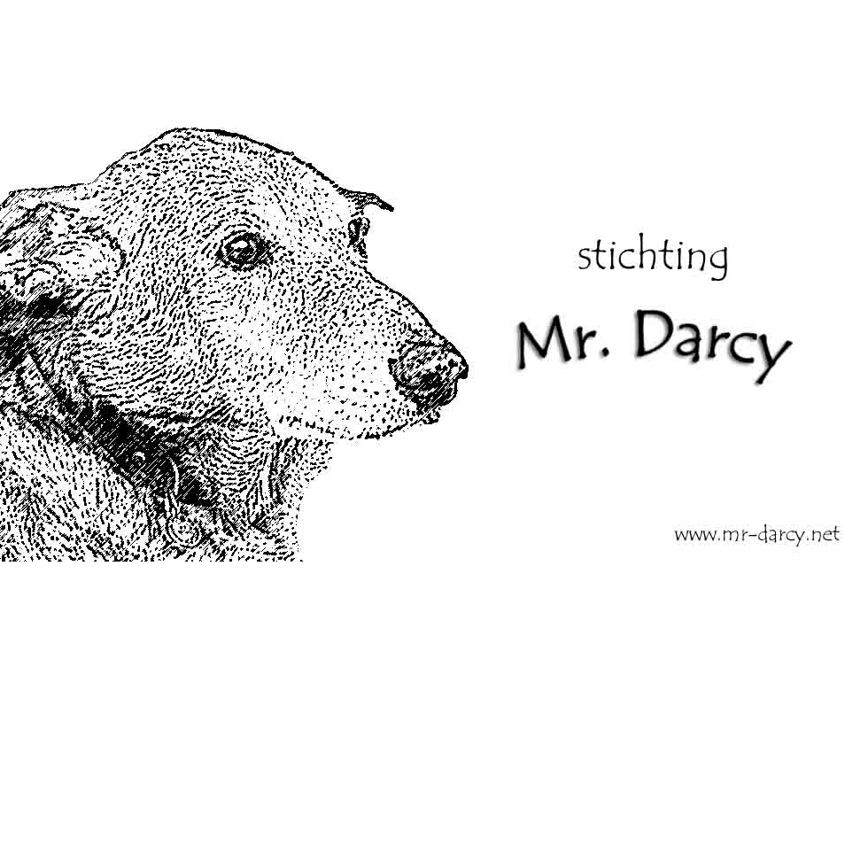 Stichting Mr. Darcy