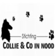Stichting Collie en Co in Nood