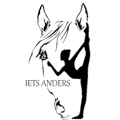 Stichting IETS ANDERS