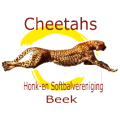HSV Cheetahs