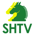 Schaakcombinatie HTV