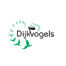 CKV Dijkvogels