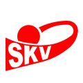 Sleeuwijkse Korfbal Vereniging S.K.V.