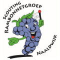 Scouting Rambonnetgroep Naaldwijk