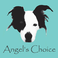 Stichting Angel's Choice 