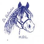 Ruitersportvereniging de Valianten - Heeswijk-Dinther-Loosbroek