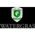 Watergras