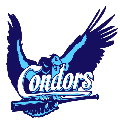 Honk- en Softbalclub De Sittard Condors