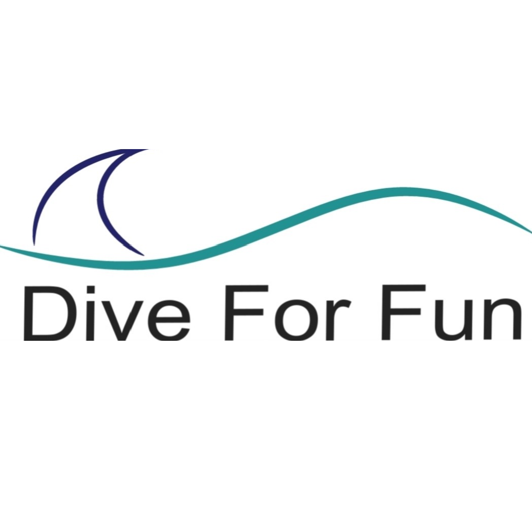 Dive For Fun