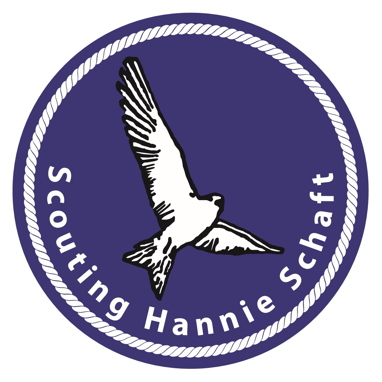 Scouting Hannie Schaft groep
