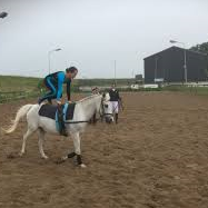 Paardensport vereniging de veldruiters