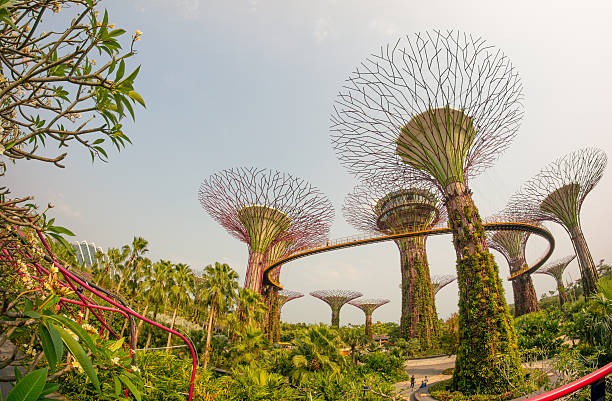 Wat te doen in Singapore?