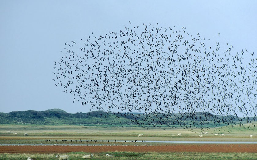 Wat te doen op Texel?