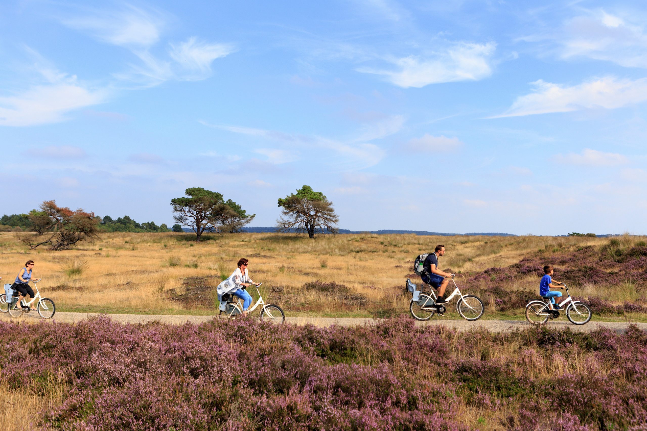 Wat te doen op de Veluwe?