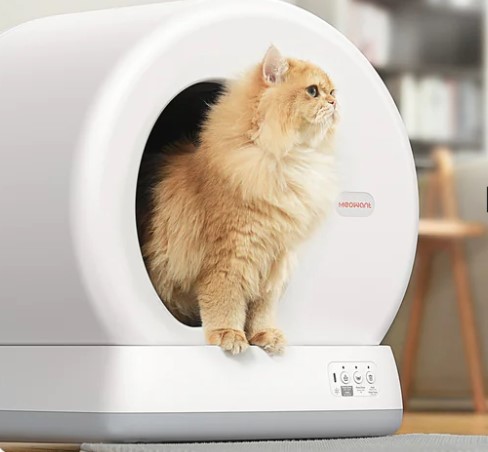 Beste automatische kattenbak