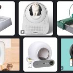 Zelfreinigende kattenbak: hoe werkt dat