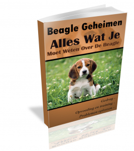 Beagle Handboek